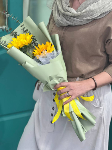 آفتاب گردون